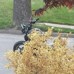 Meet your Posher, Darren